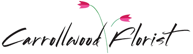Carrollwood Florist Merchant Logo