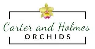 Carter and Holmes Orchids Merchant Logo