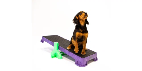 Cato Outdoors Promo Code