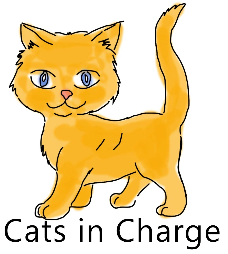 20 Off Cats In Charge Promo Code (1 Active) Aug '24