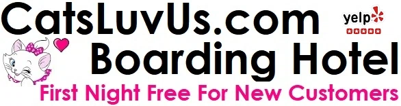 CATS LUV US Promo Code — Get 100 Off in July 2024