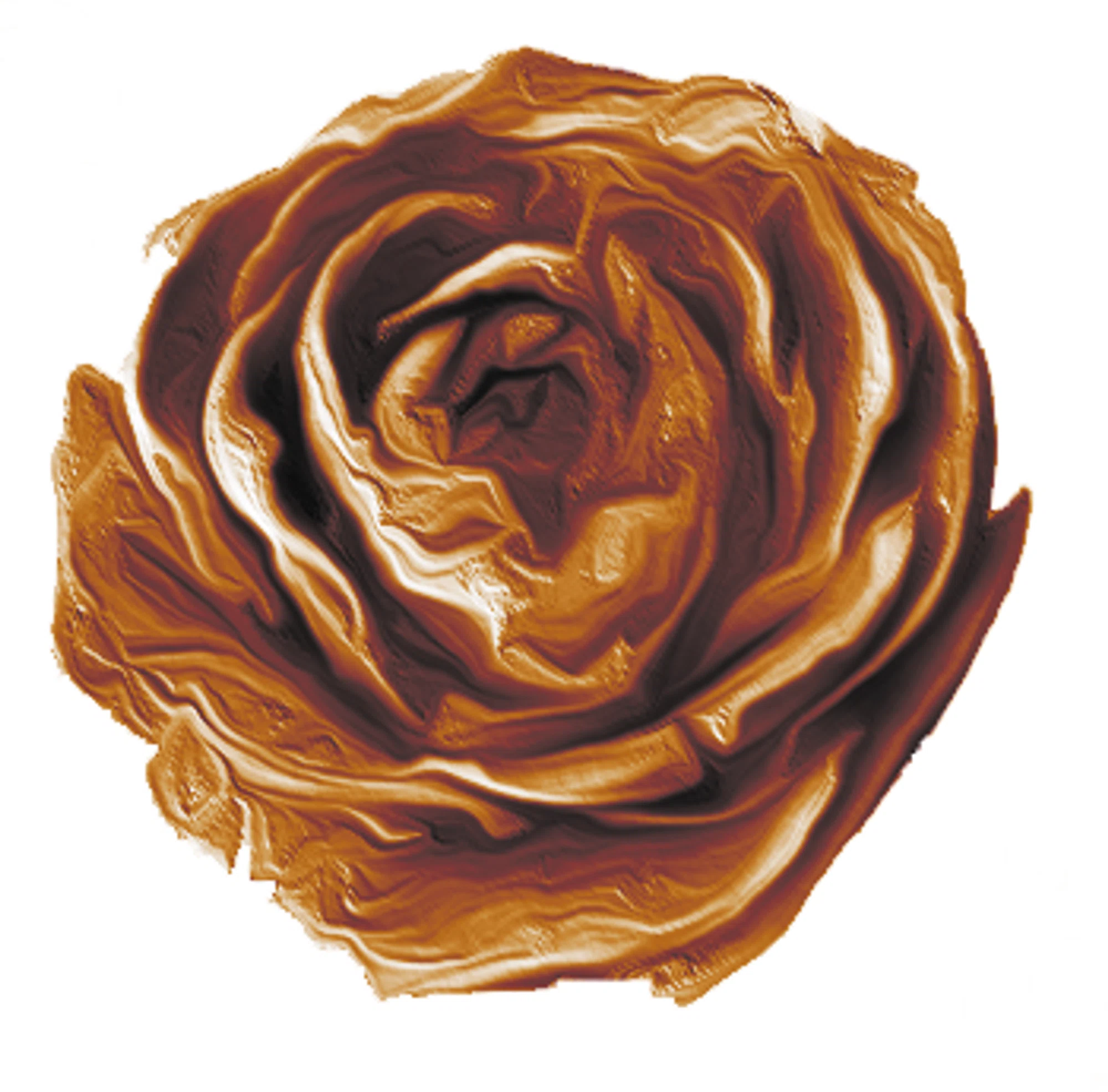 CEDAR ROSE GROVE Promo Code — 15 Off in Sep 2024