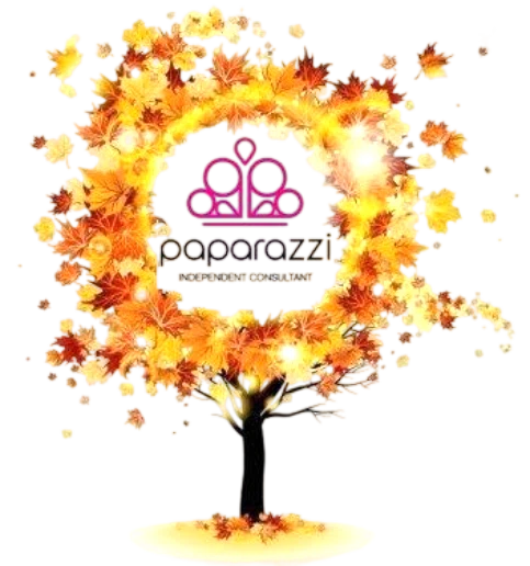Chic Shimmer Merchant Logo