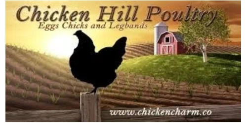 Chicken Hill Promo Code