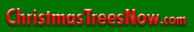 Christmas Trees Now Merchant Logo