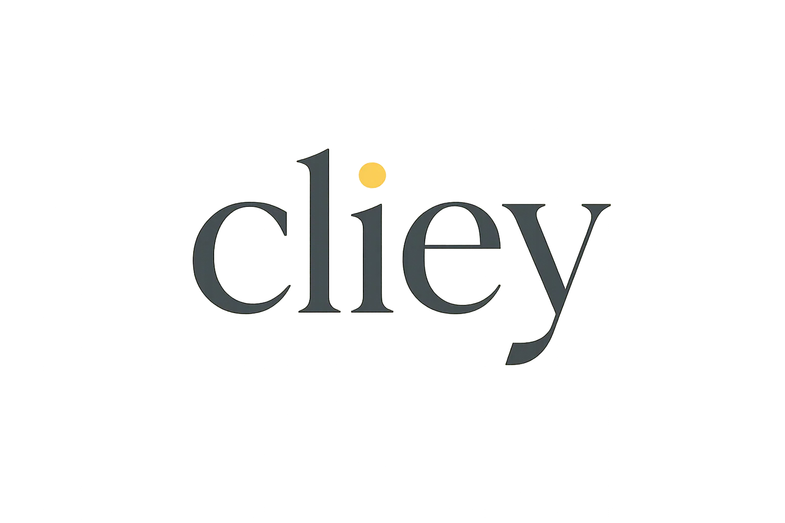 Ciley Store Merchant Logo