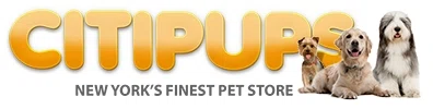 Citipups Merchant Logo