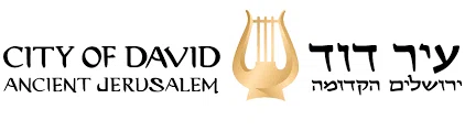 City of David Store Merchant Logo