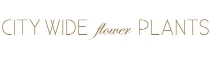 CITY WIDE FLOWER & PLANTS Promo Code — 200 Off 2024