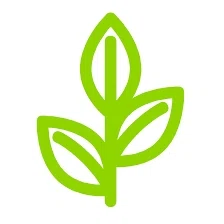 CLEARWATER KRATOM Promo Code — 50 Off Aug 2024