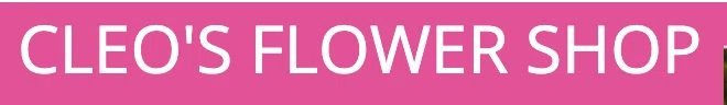 CLEO'S FLOWER SHOP Promo Code — 100 Off in Sep 2024