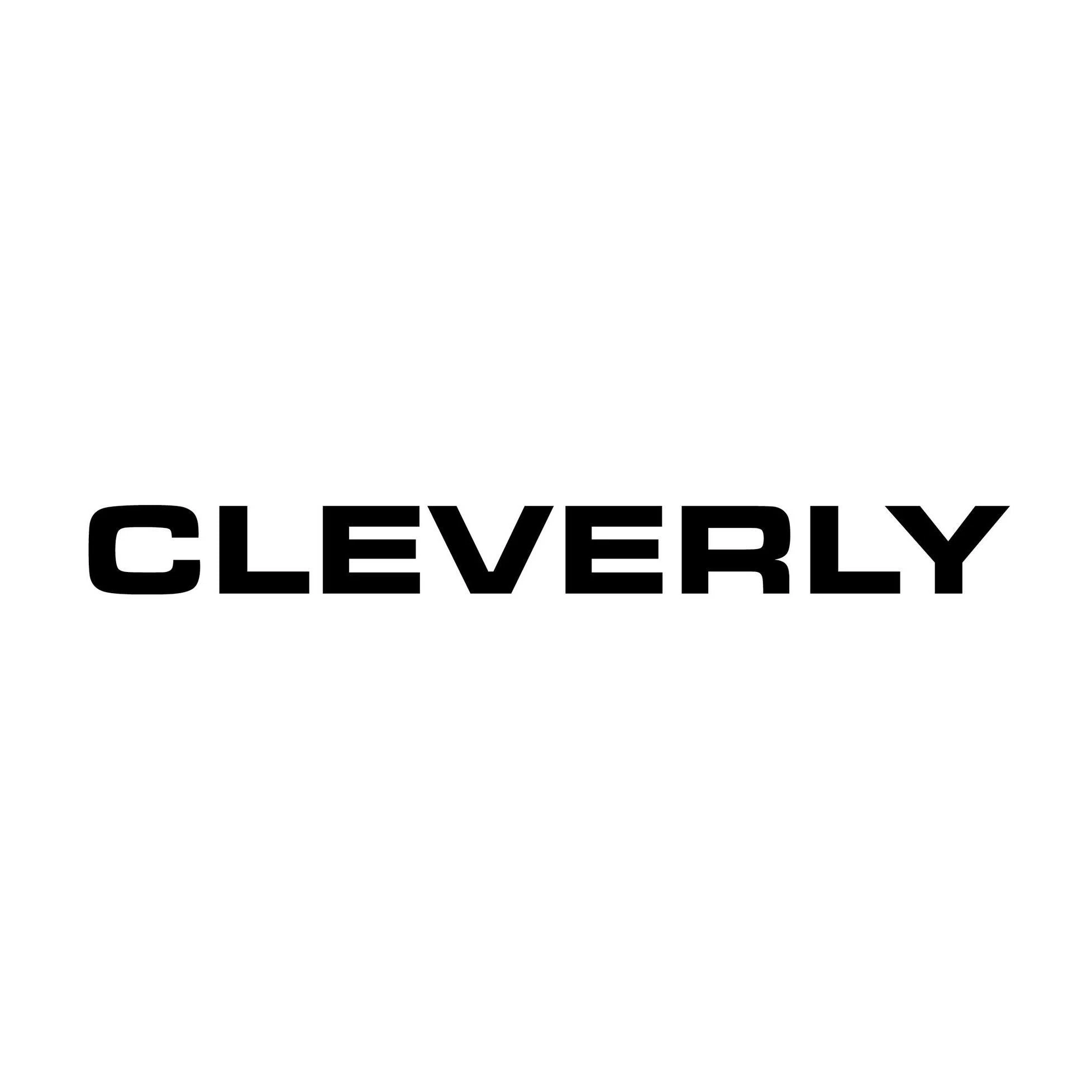 Cleverly Laundry Merchant Logo