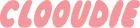 CLOOUDIE Promo Code
