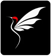CloudFly Merchant Logo