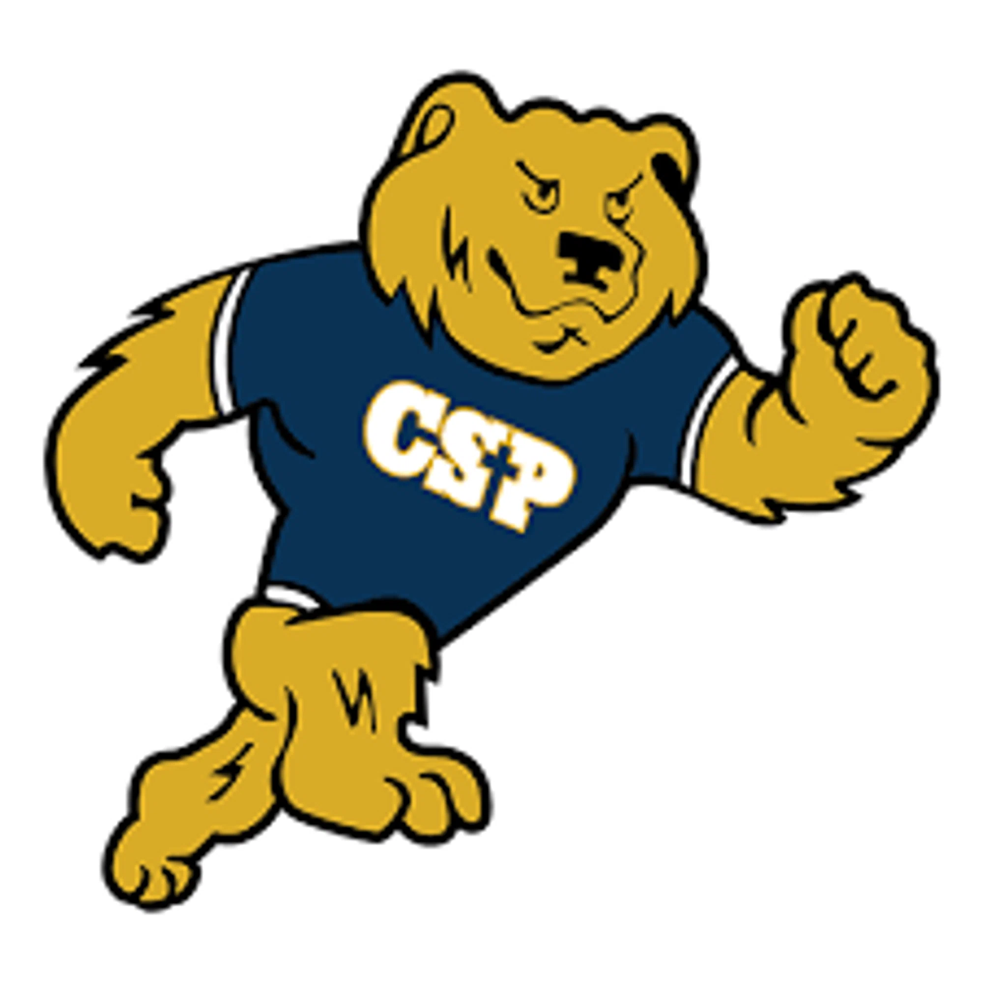 CONCORDIA GOLDEN BEARS Promo Code — 25 Off 2024