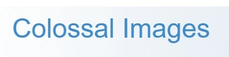 Colossal Images Merchant Logo