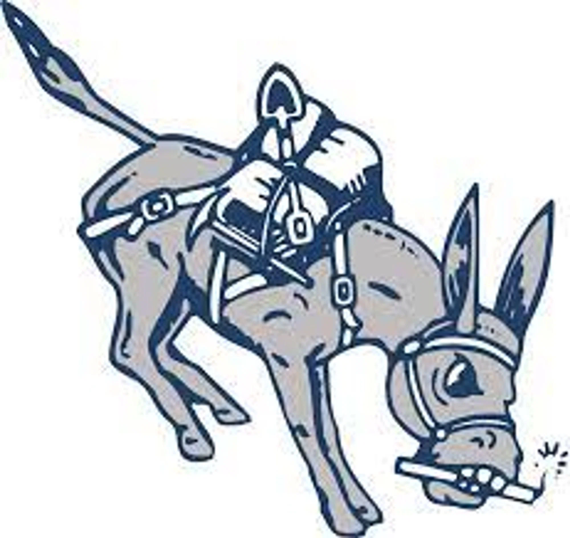 Colorado School of Mines Orediggers Promo Code