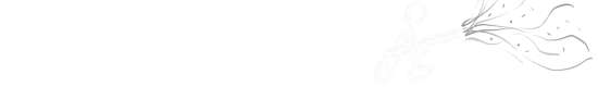 Confetti Cannon Direct Promo Code