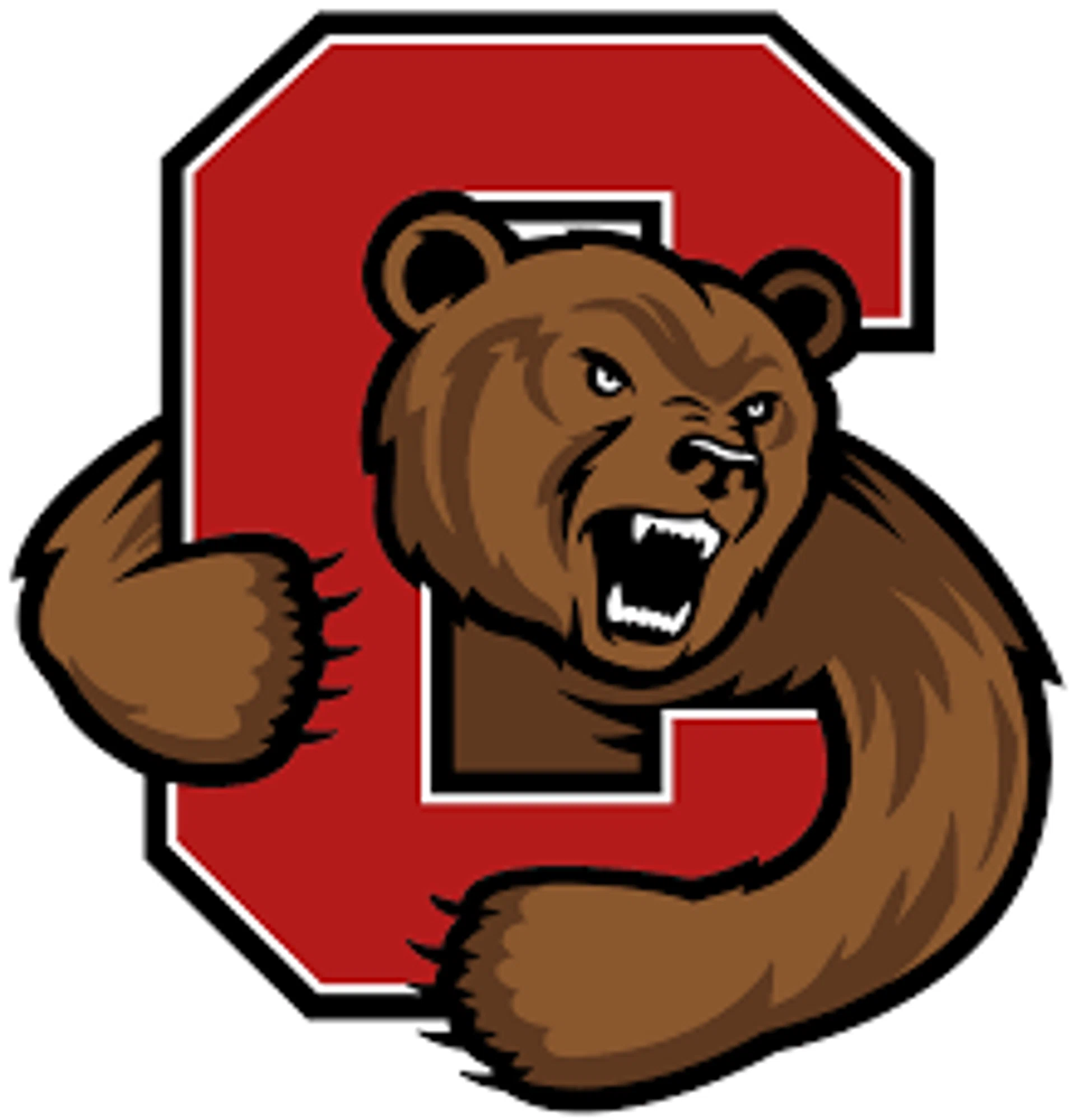 CORNELL BIG RED Promo Code — 25 Off (Sitewide) 2024