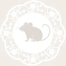 Country Mouse Prints Promo Code