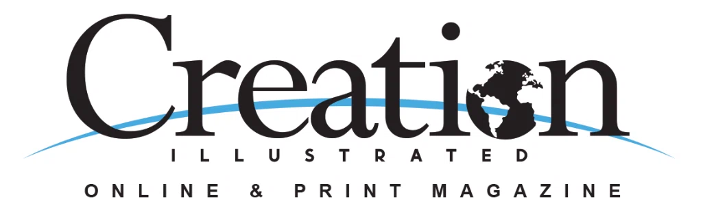 Creation Illustrated Merchant Logo