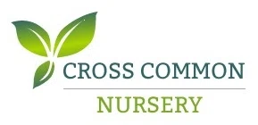 CROSS COMMON NURSERY Discount Code — 150 Off 2024