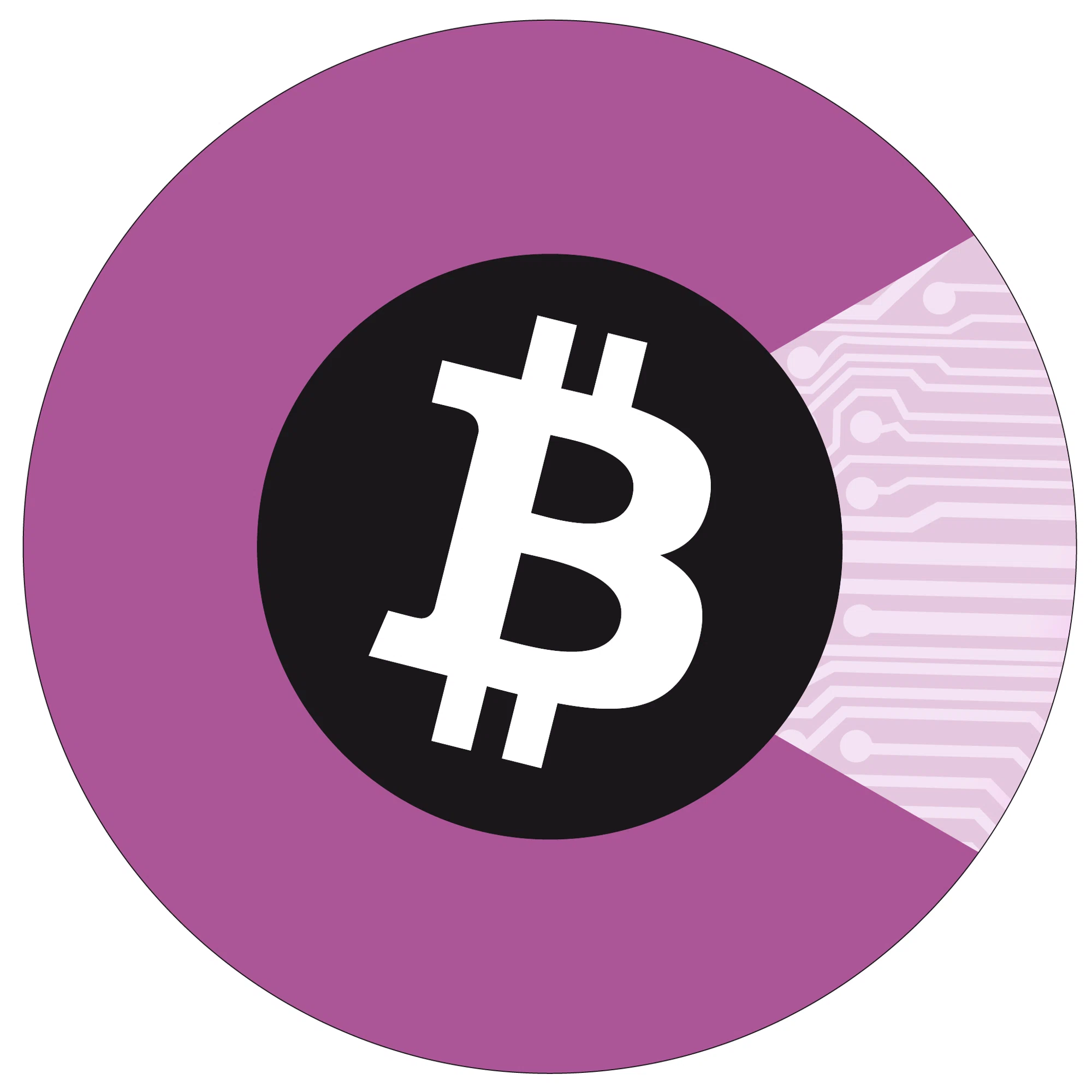 CryptoView.io Merchant Logo