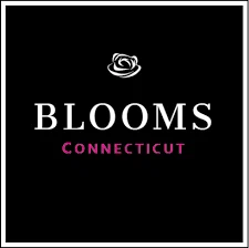 Connecticut Blooms Merchant Logo