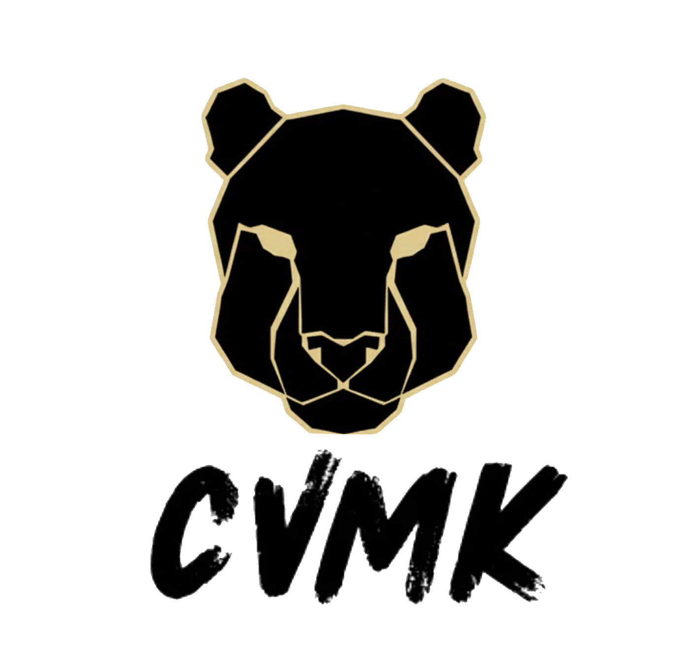 CVMK GLOBAL Promo Code
