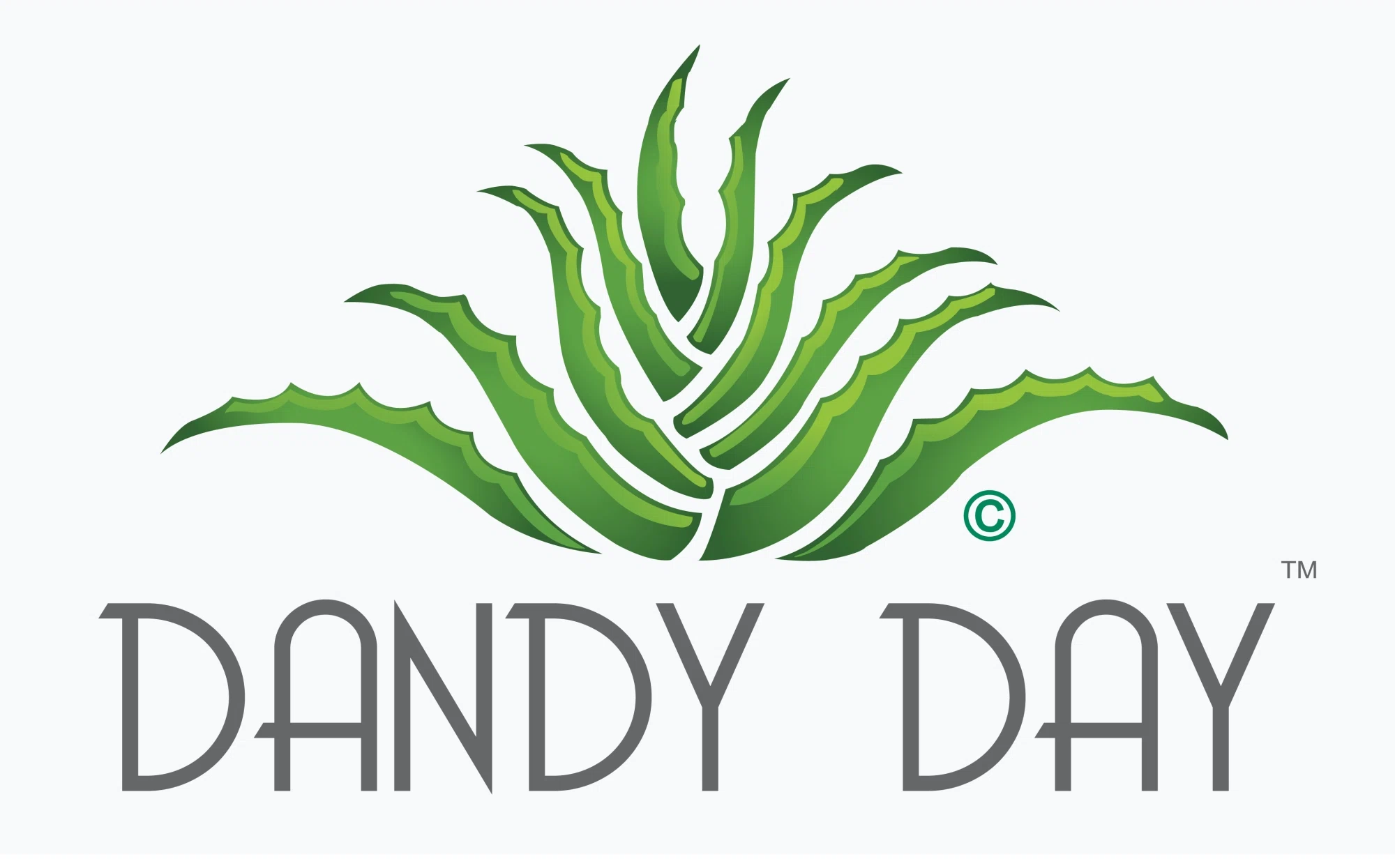 DANDY DAY Promo Code — 139 Off in September 2024
