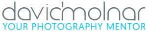 David Molnar Merchant Logo