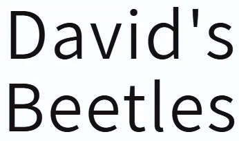 David's Beetles Merchant Logo