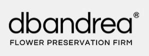 Dbandrea Promo Code