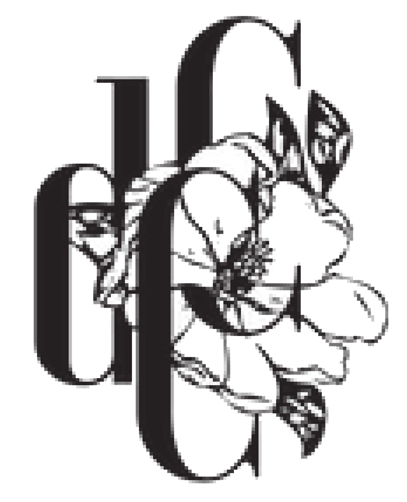 DE CASTELLANE CREATIVE Promo Code — 200 Off 2024