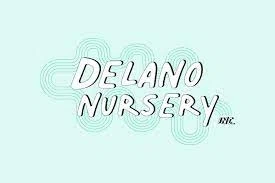 DELANO NURSERY Promo Code — 200 Off in August 2024