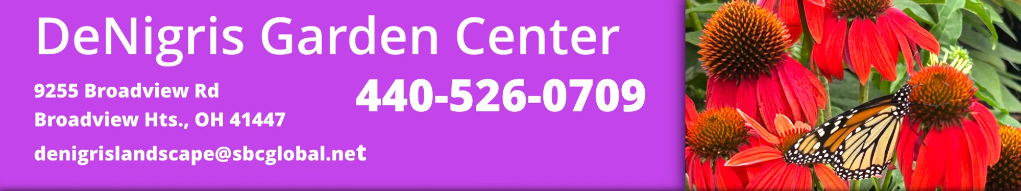 DENIGRIS GARDEN CENTER Promo Code — 150 Off 2024