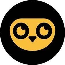 dFuture Merchant Logo