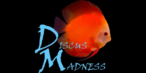 Discus Madness Promo Code