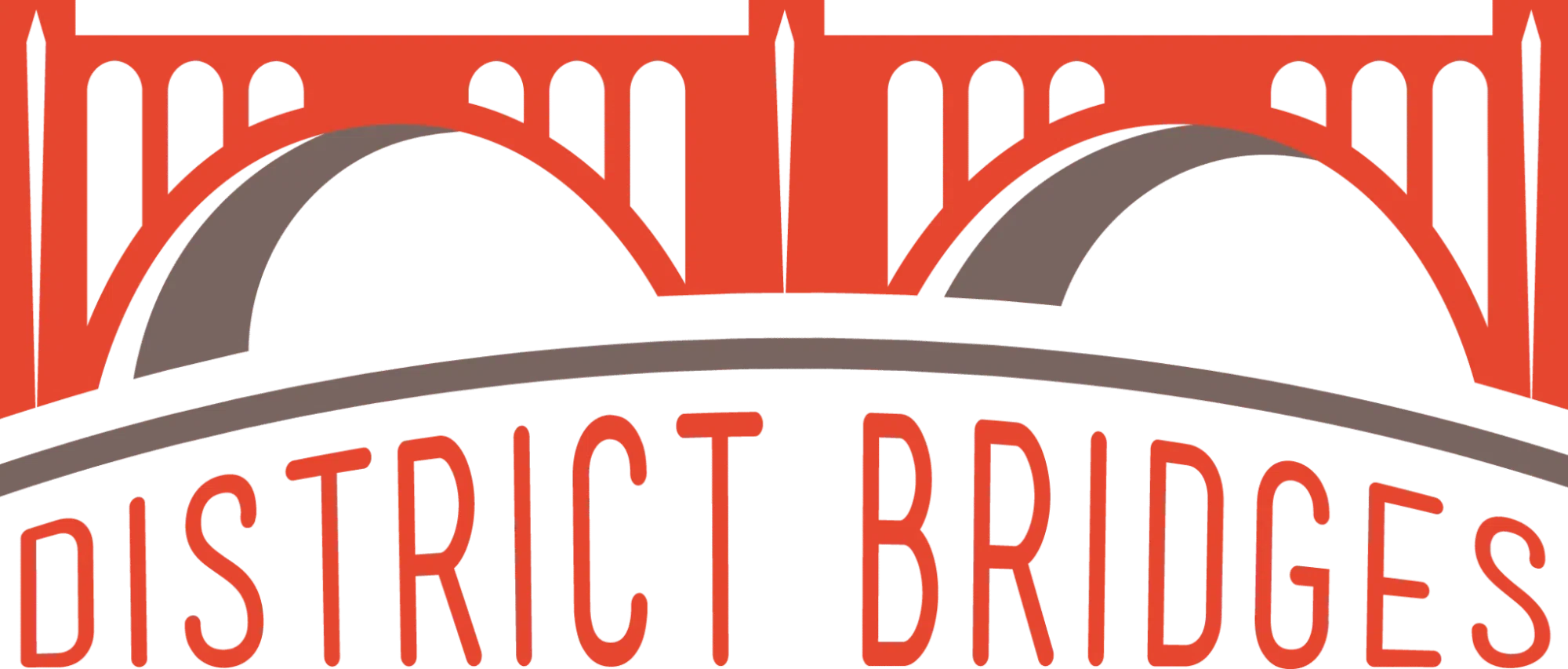 District Bridges Merchant Logo