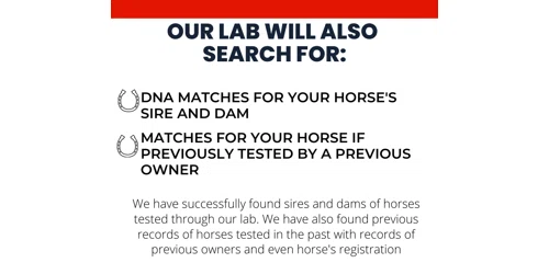 DNA My Horse Promo Code
