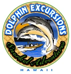 Dolphin Excursions Merchant Logo
