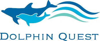 Dolphin Quest Merchant Logo