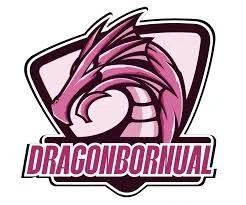 Dragon Bornual Merchant Logo