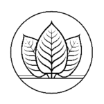 DTE Botanicals Promo Code