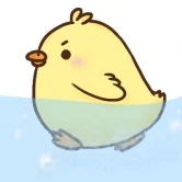 DuckyDeFi Merchant Logo