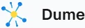 Dume.ai Merchant Logo