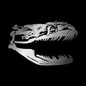 Duy Ng Skeleton Merchant Logo