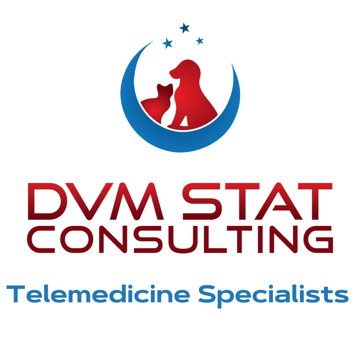 DVM STAT Consulting Merchant Logo