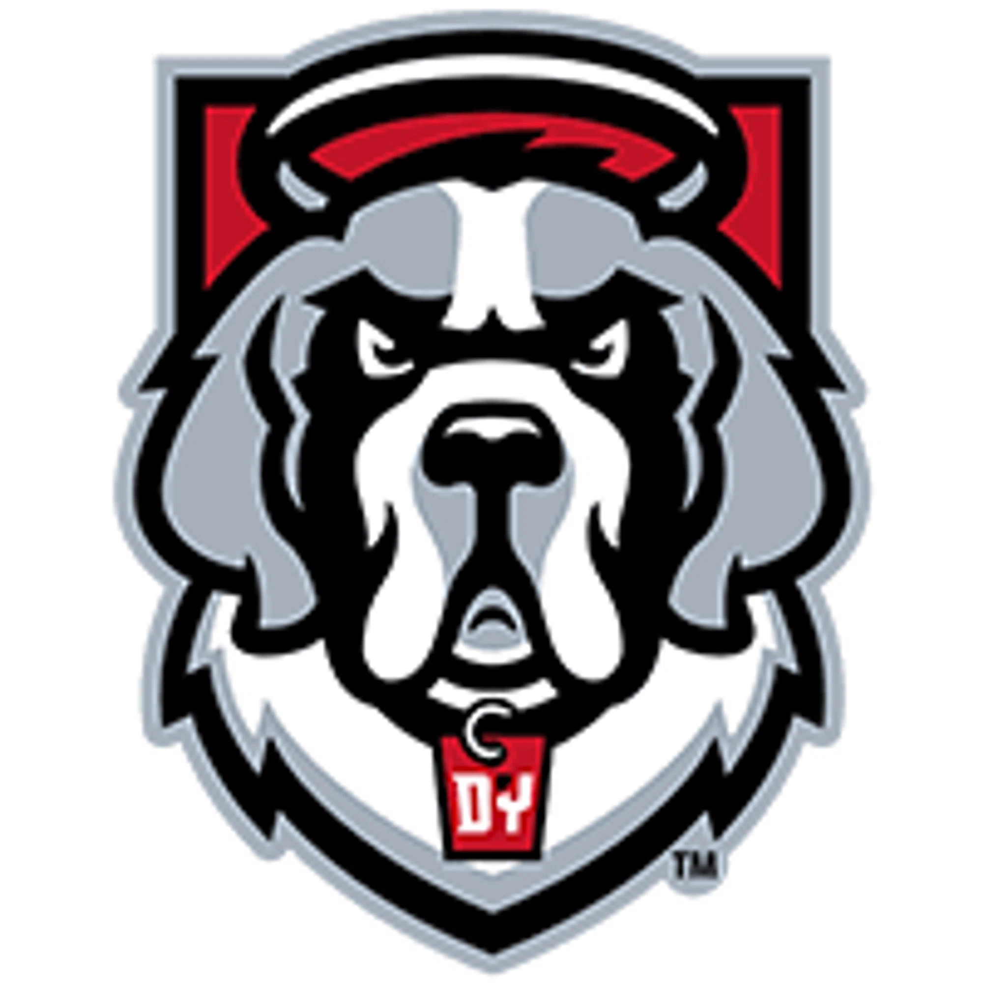 D'youville Saints Promo Code