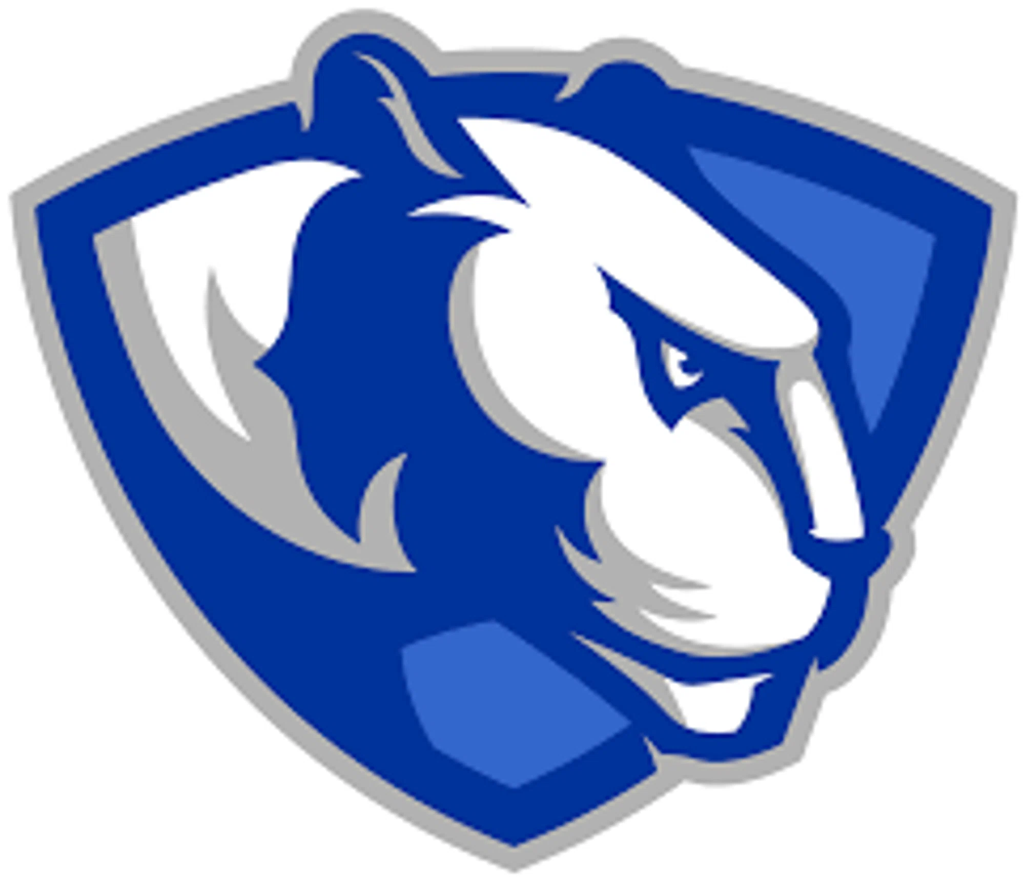 Eastern Illinois Panthers Merchant Logo